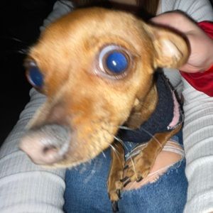 Meet your Posher, Mya